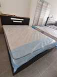 Cama em madeira maciça - 159€