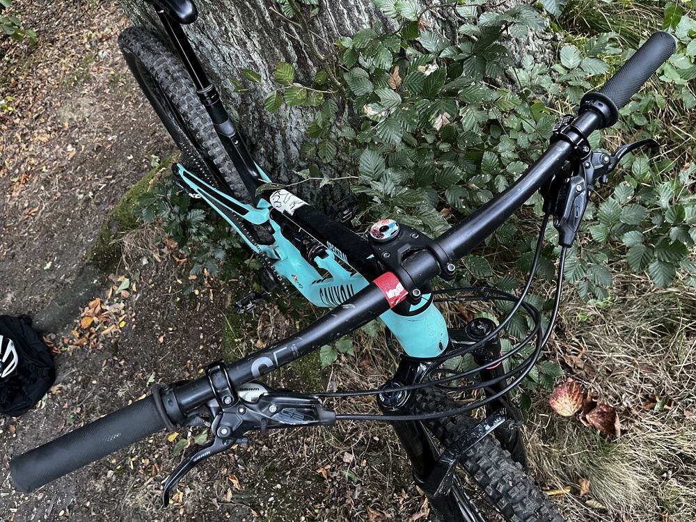 Canyon Spectral CF Pike Ultimate, X0, Deluxe, Reynolds carbon