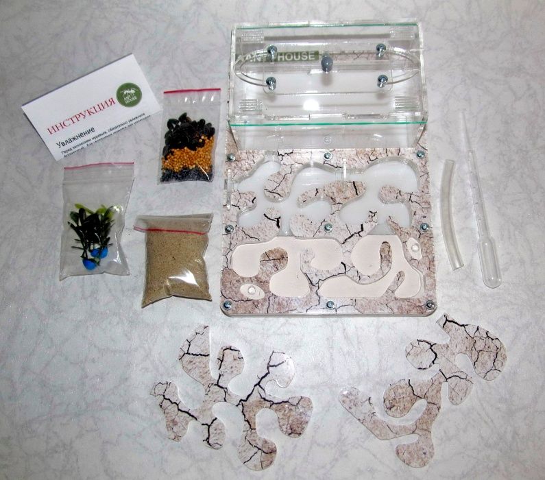 Муравьиная ферма (формикарий) «Anthouse» (пустыня) полный комплект