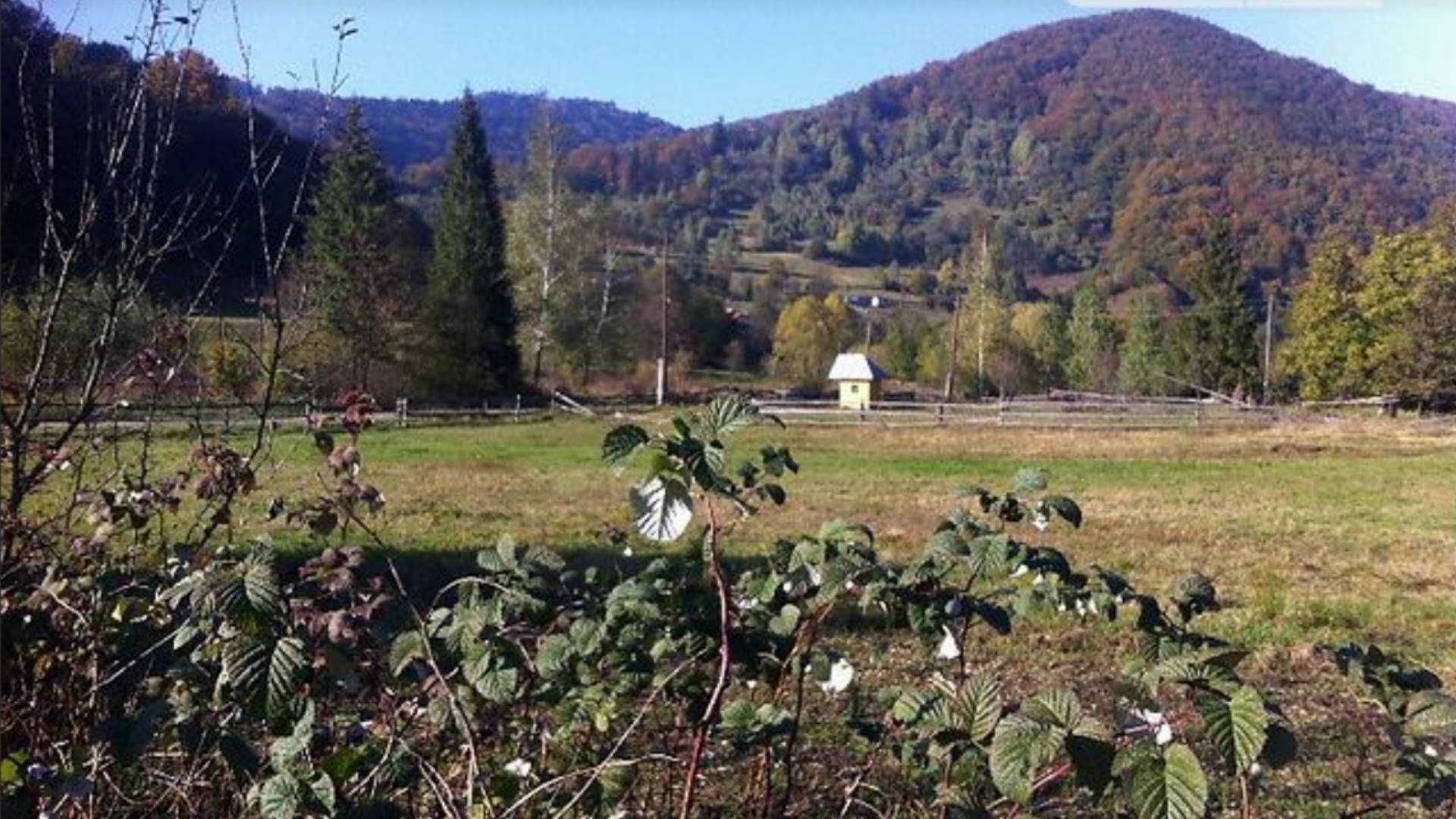 земля з будинком в Карпатах