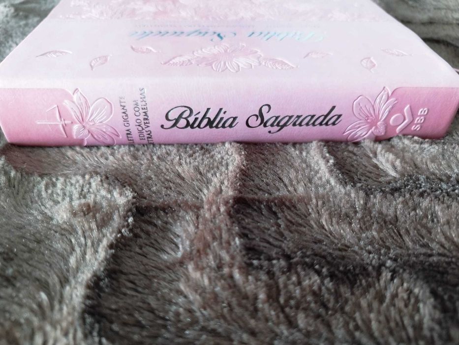 Bíblia Sagrada da Sociedade Bíblica do Brasil
