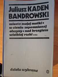 Juliusz Kaden Bandrowski "Miasto mojej matki"