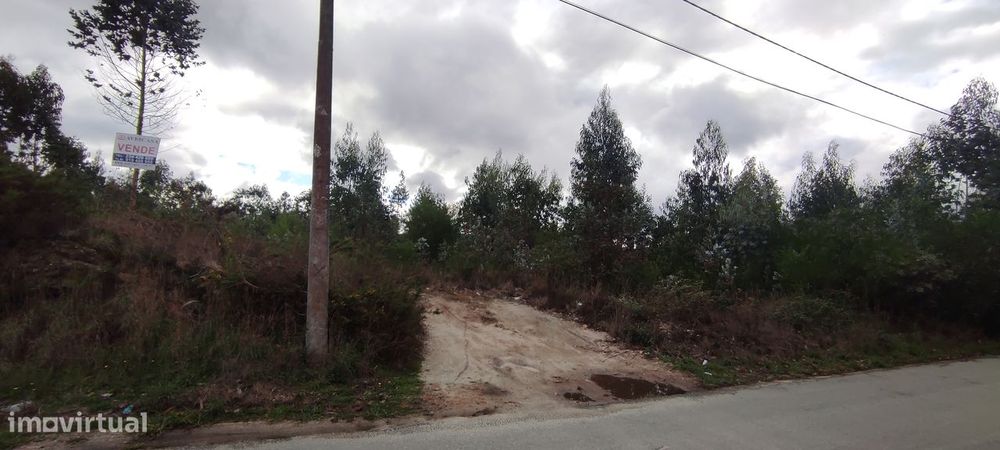 Terreno Rústico A Pinhal