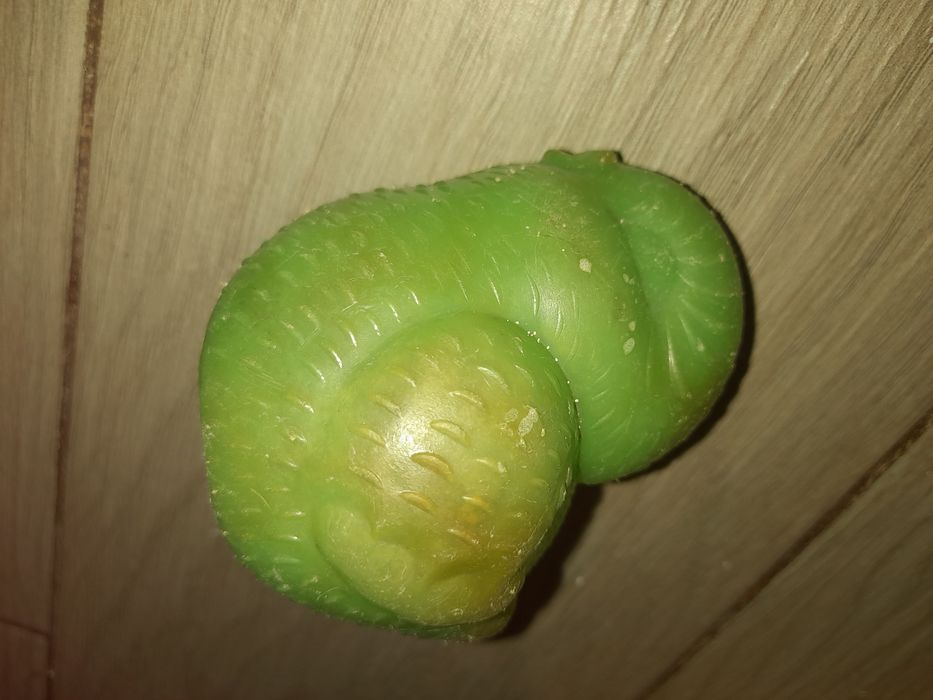 Іграшки із  целулоїда .з Ссср