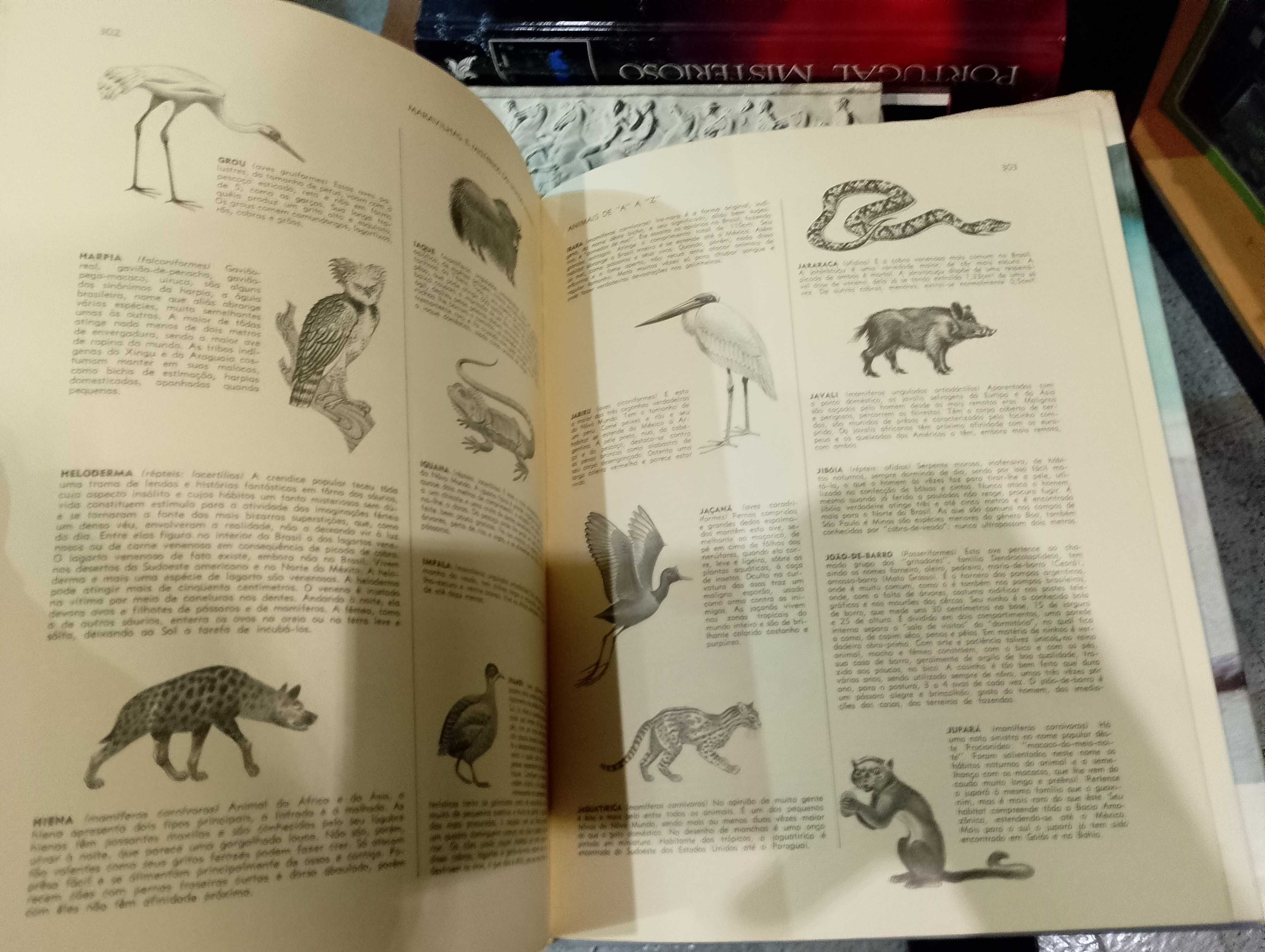 Maravilhas e Mistérios do Mundo Animal - Seleções do Reader's Digest