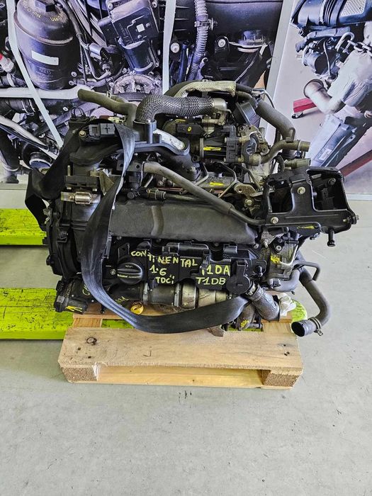 Motor Ford Focus 1.6 TDCI 2015, ref T1DA/T1DB