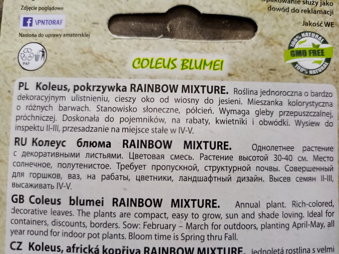 Koleus Nasiona mieszanka roślin zestaw