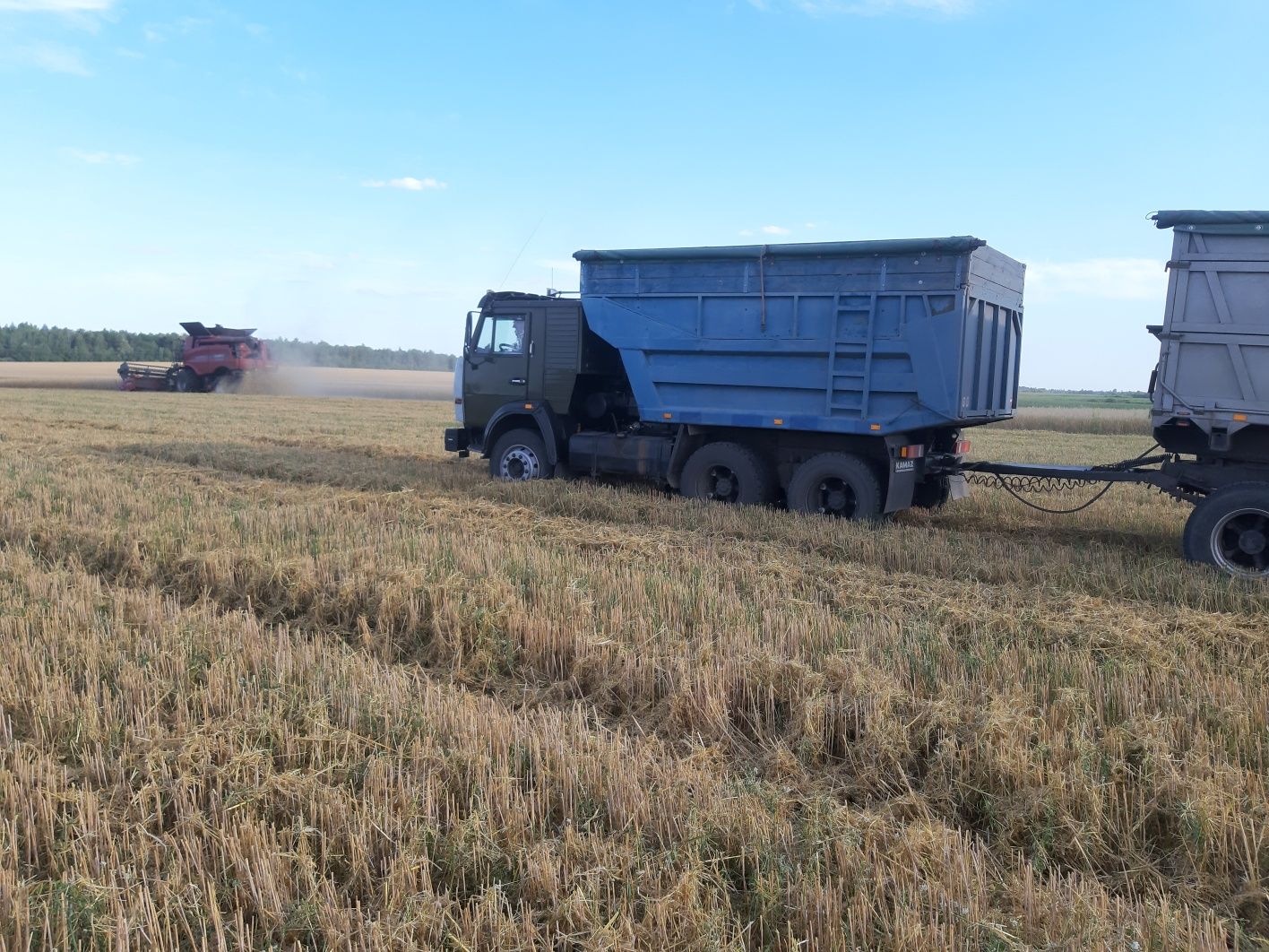 Вантажні Перевезення зернових культур Доставка