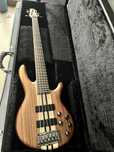 CORT A5 CUSTOM Z + Hard Case + GregoryPreAmps G-BP3