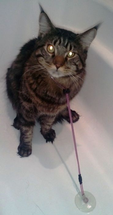 Привязь для ванной для купания котов и собак - 43 см.