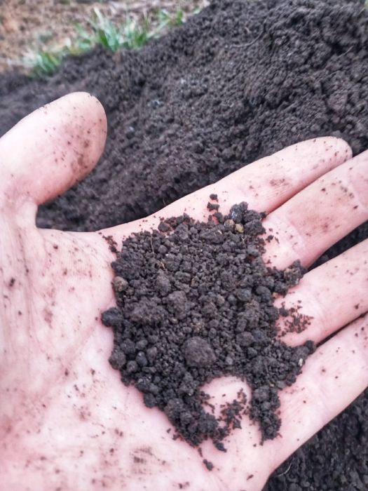 Субстрат для рассады