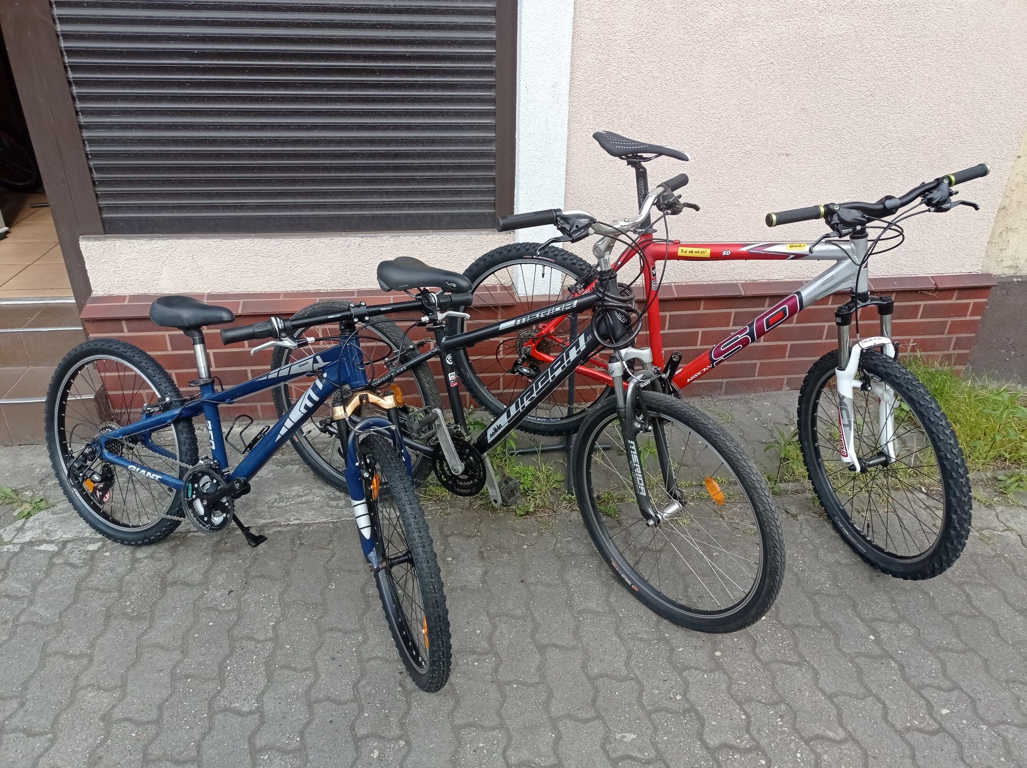 Pakiet rowerów ze Szwajcarii dla rodzin,par Merida,Giant,Arrow,Thomus