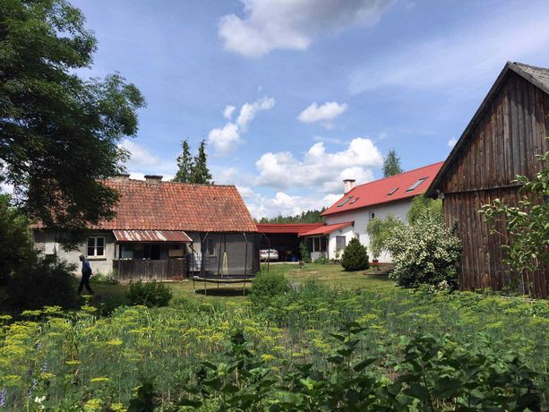 Piękne siedlisko w środku lasu Mazury 2 domy i stodoła blisko jeziora