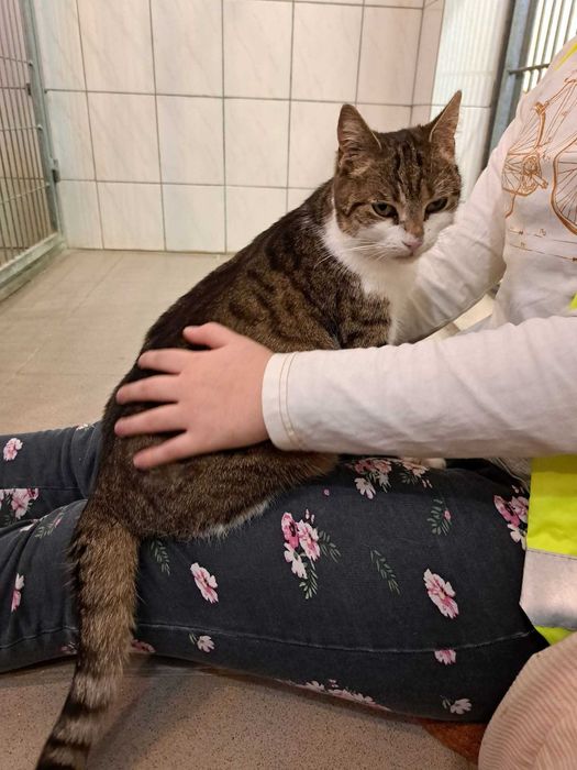 Alinka - czy ma szansę na dom czy resztę życia spędzi w schronisku?