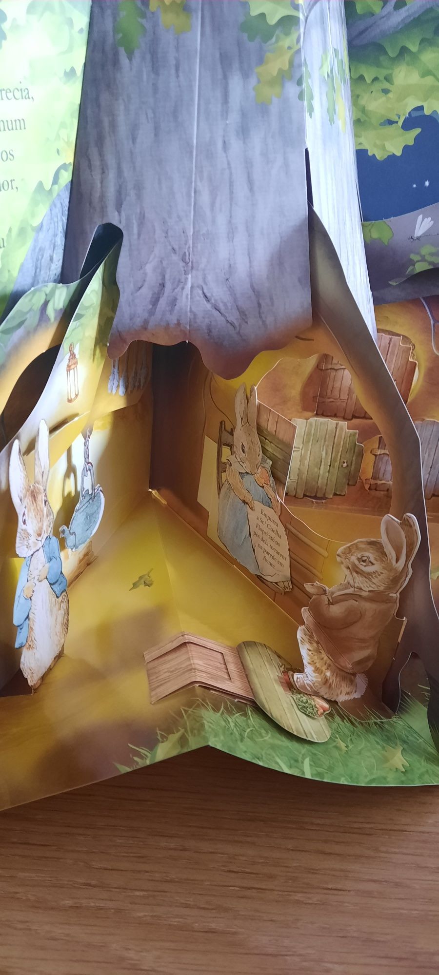 Livro Pedrito Coelho Pop-Up