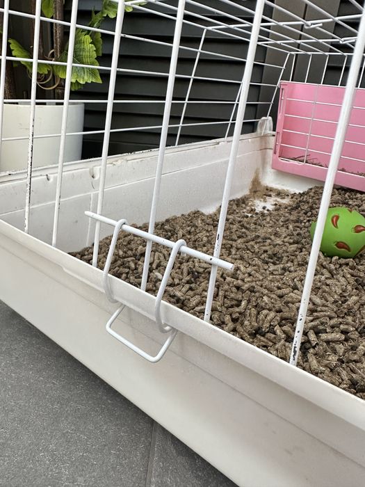 Coelha anã + Kit Completo de Acessórios