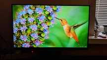 Монітор LG 24MS500-B
