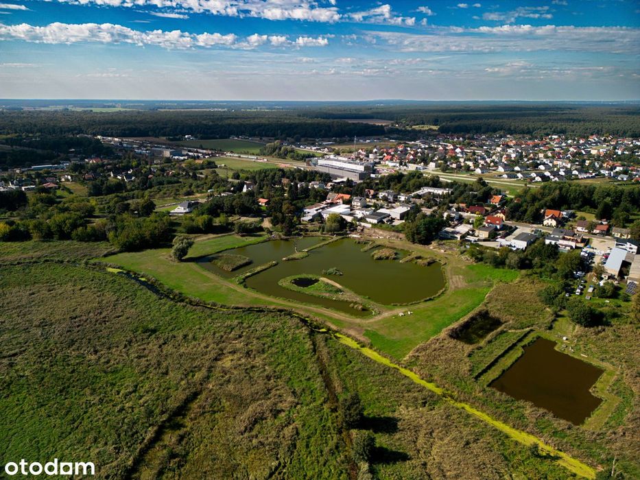 rekreacja | zieleń | staw | plan msc