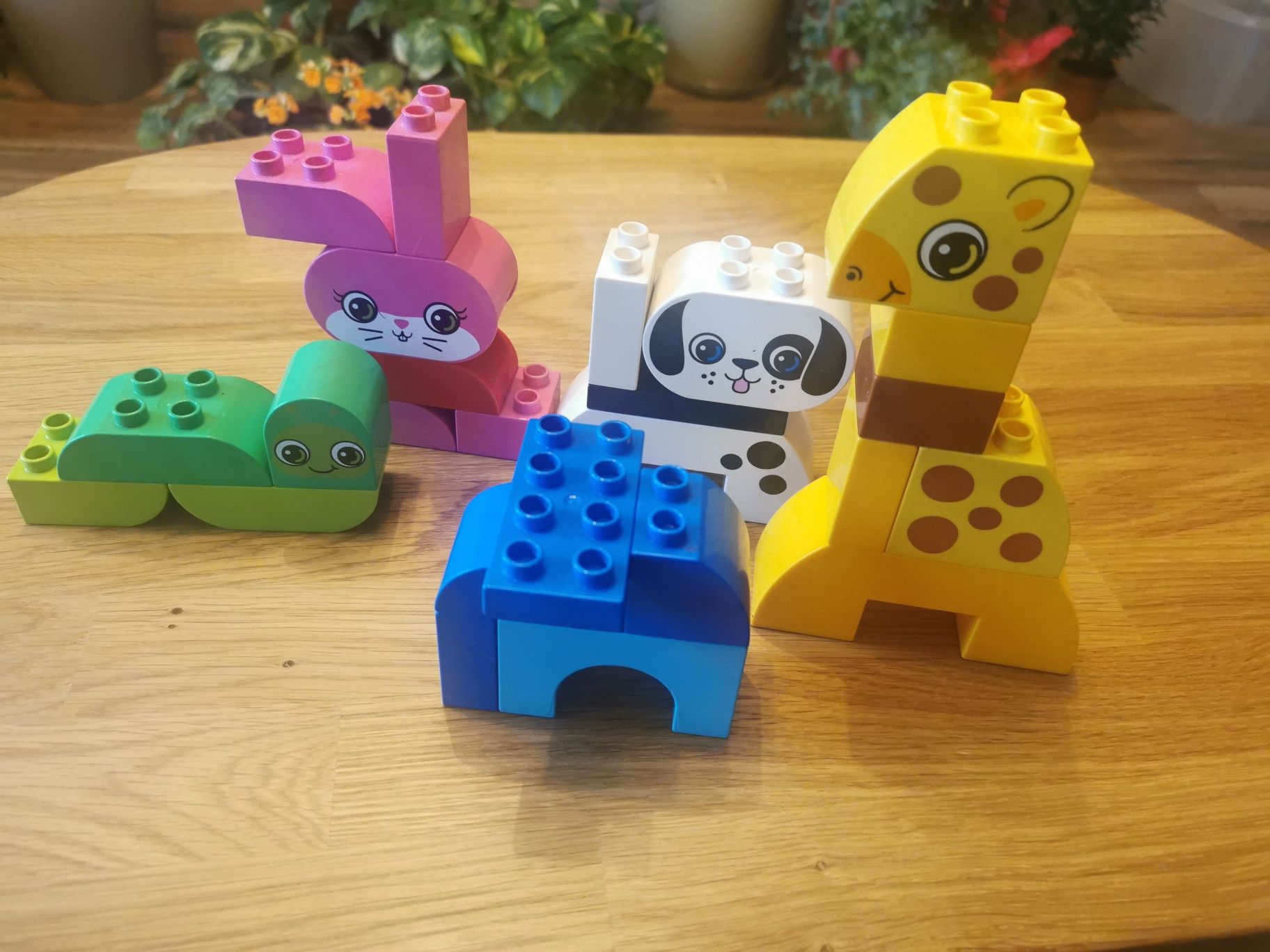 Klocki Lego Duplo 10573  kreatywne zwierzęta 1,5-5 lat