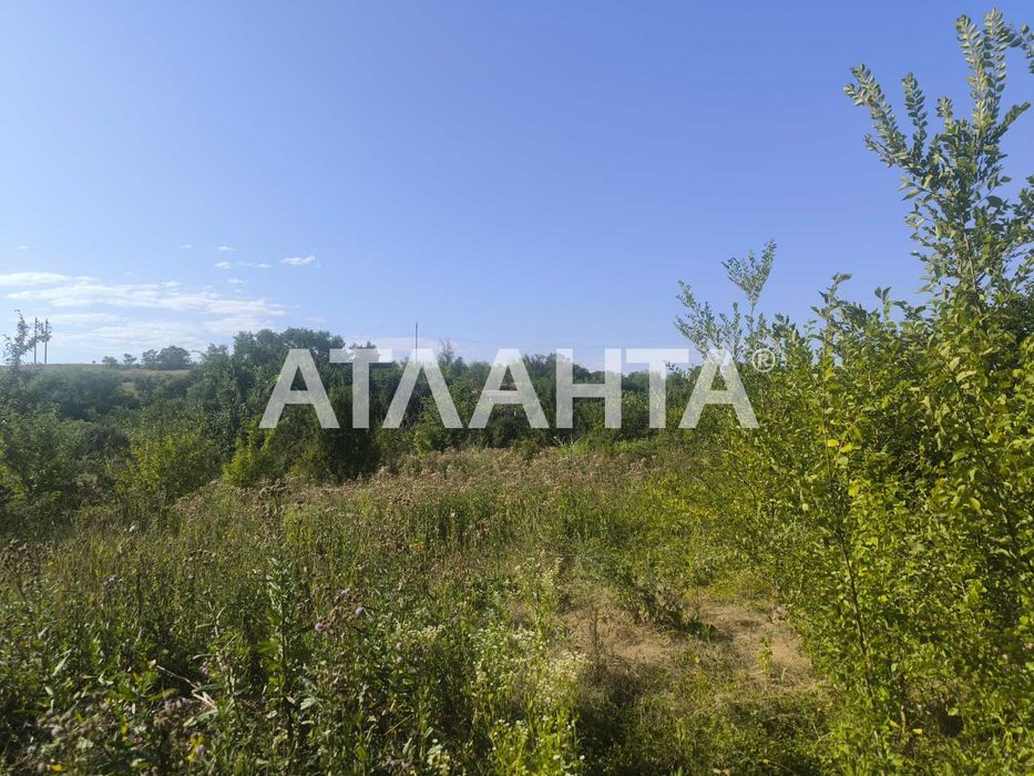 Продается дом в с. Мирное