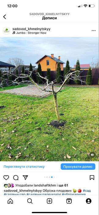 Професійна обрізка плодових дерев