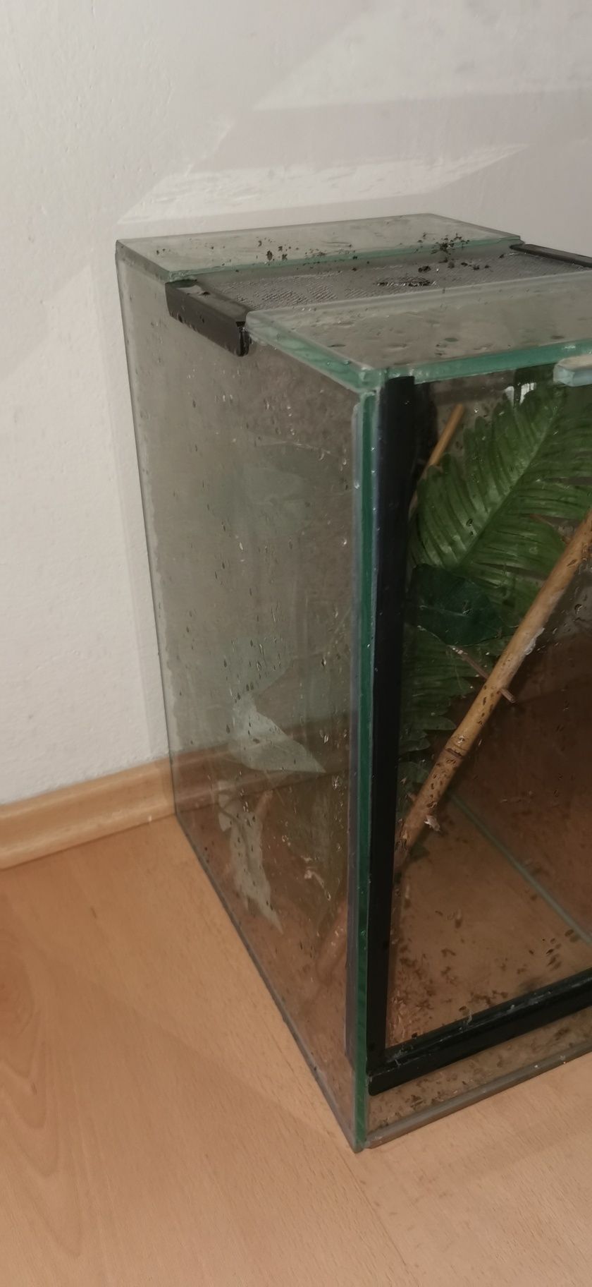 Terrarium na pająka gekona lub inne egzotyczne zwierzę 40x 30x 20
