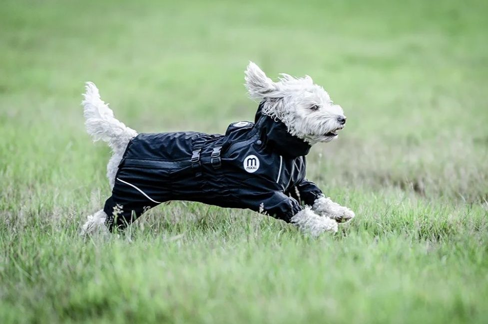 Дощовик для собак XL