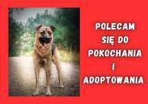 SPAJK - marzy o nowym domu i rodzinie :)