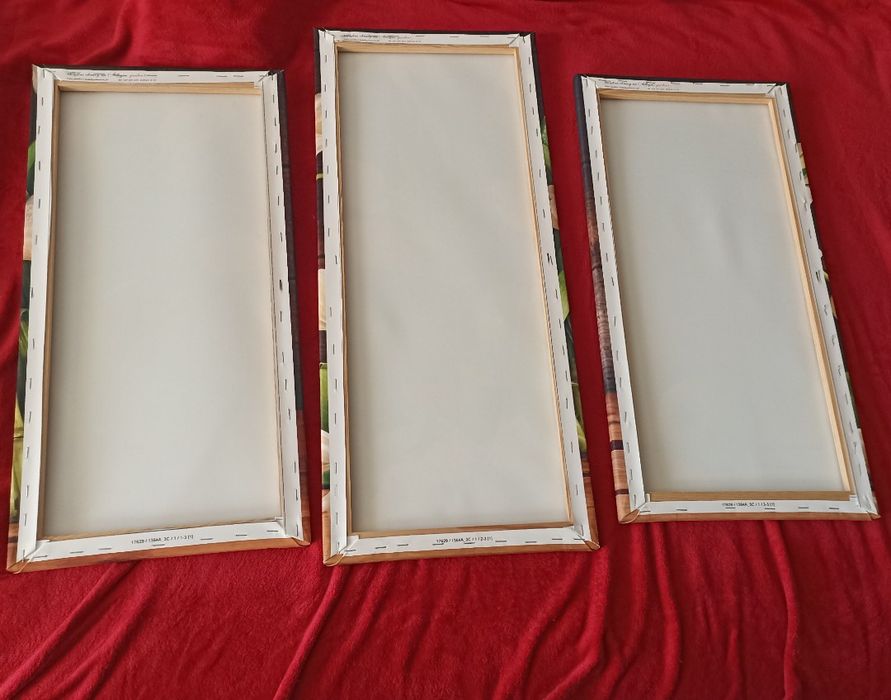 Tryptyk obraz 3 części