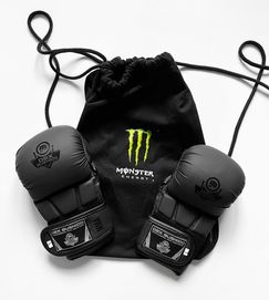 Rękawice do MMA dla dorosłych DBX Bushido E1v9-B Black Master L