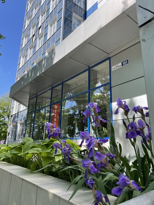 Офісні приміщення  на пр-т.Гагарина д. 181  от 10 до 200кв.м