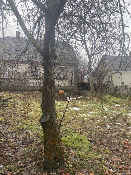 Будинок в Почаєві