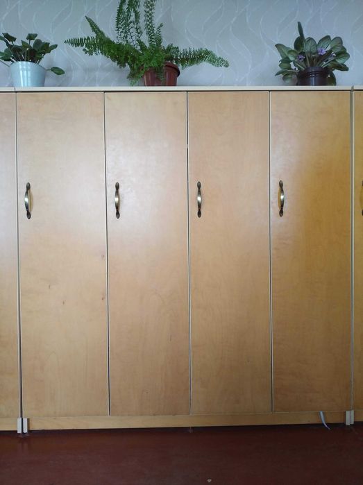 Шафа з фанери  для школи або садочка