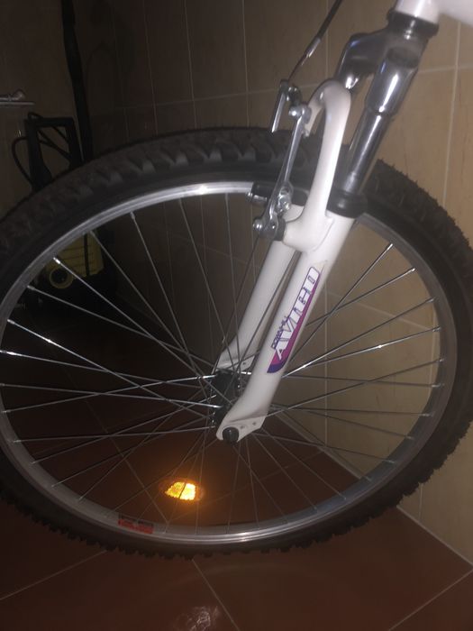 Bicicleta Avigo Downhill