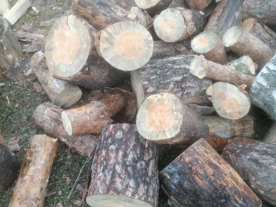 Drewno opałowe Sosnowe Suche