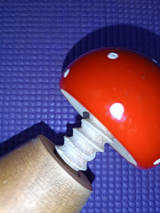 Дерев'яний гриб-горіхокол