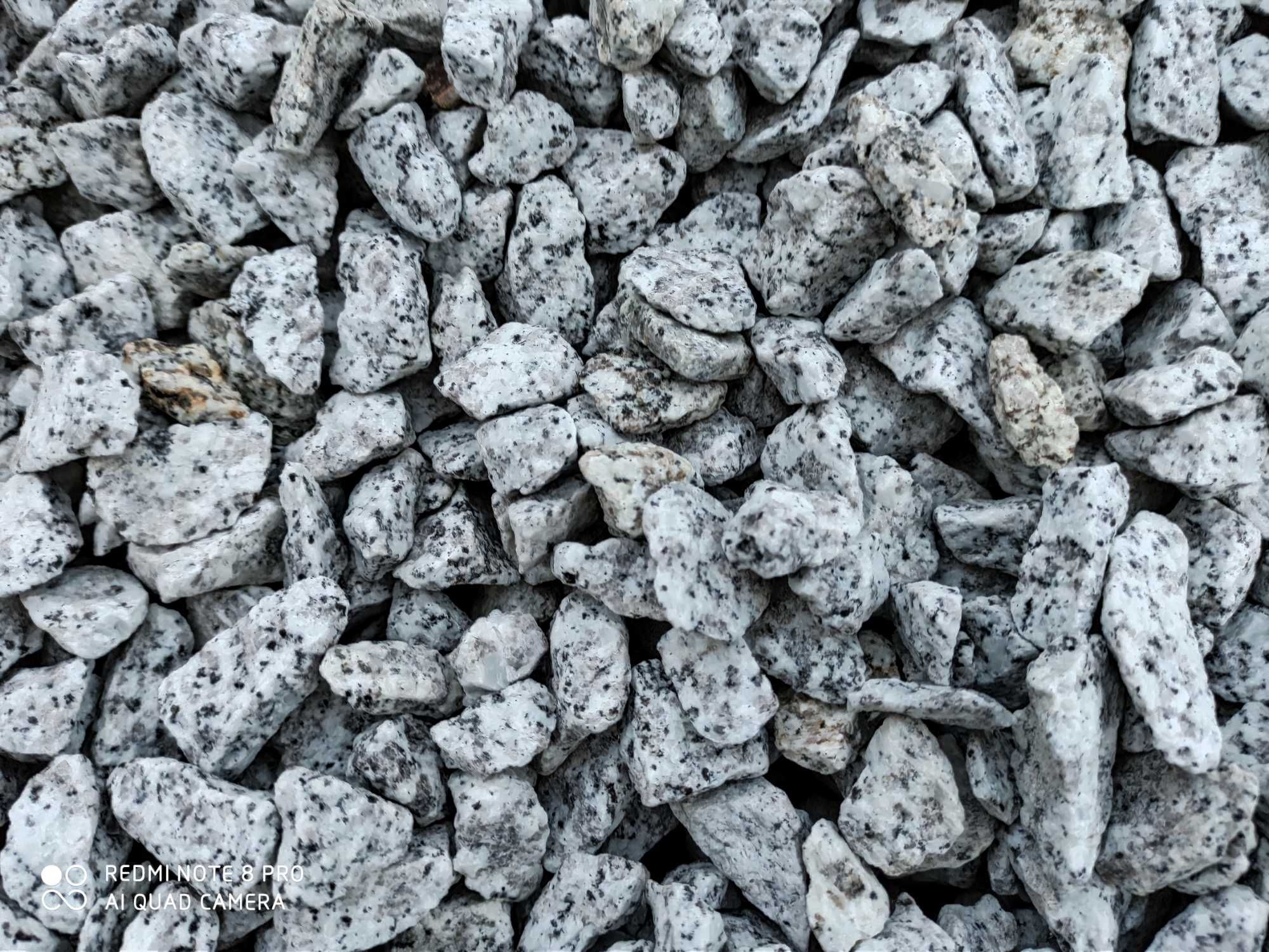 Grys Granitowy Dalmatyńczyk żwir kruszywo kamień szary