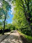 Działki budowlane pod lasem Natura 2000, Rzędziny