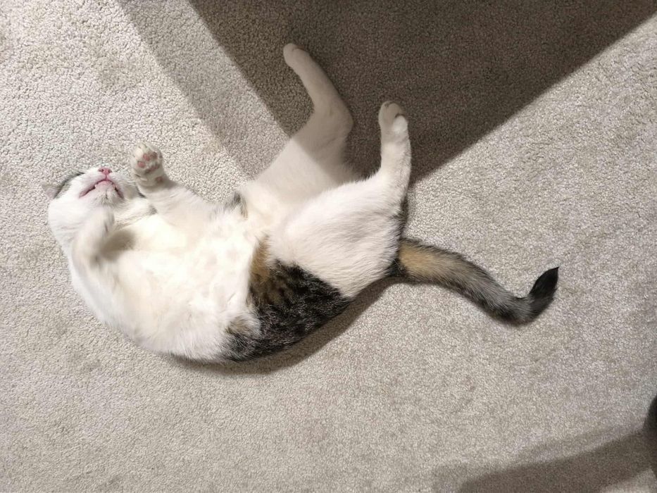 Dlaczego nikt Jej nie chce?..