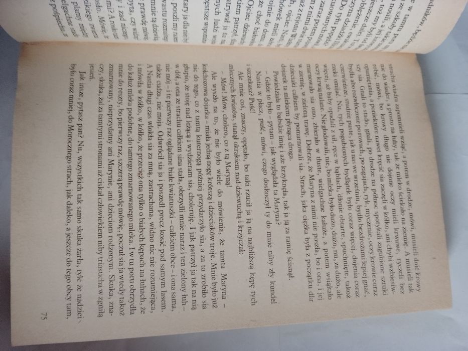 Halina Auderska Ptasi gościniec, Babie lato