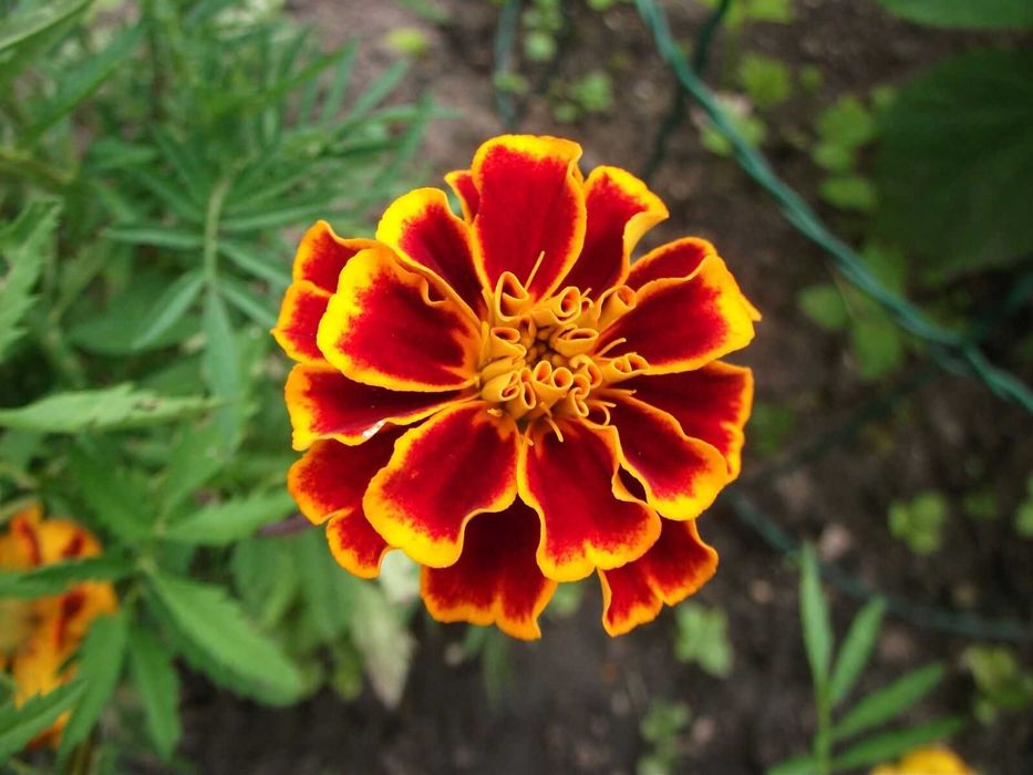 Fujifilm AX200 + pudełko zestaw/ retro digital camera