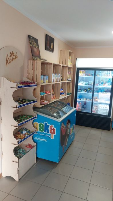 Продам магазин в Иршанске.