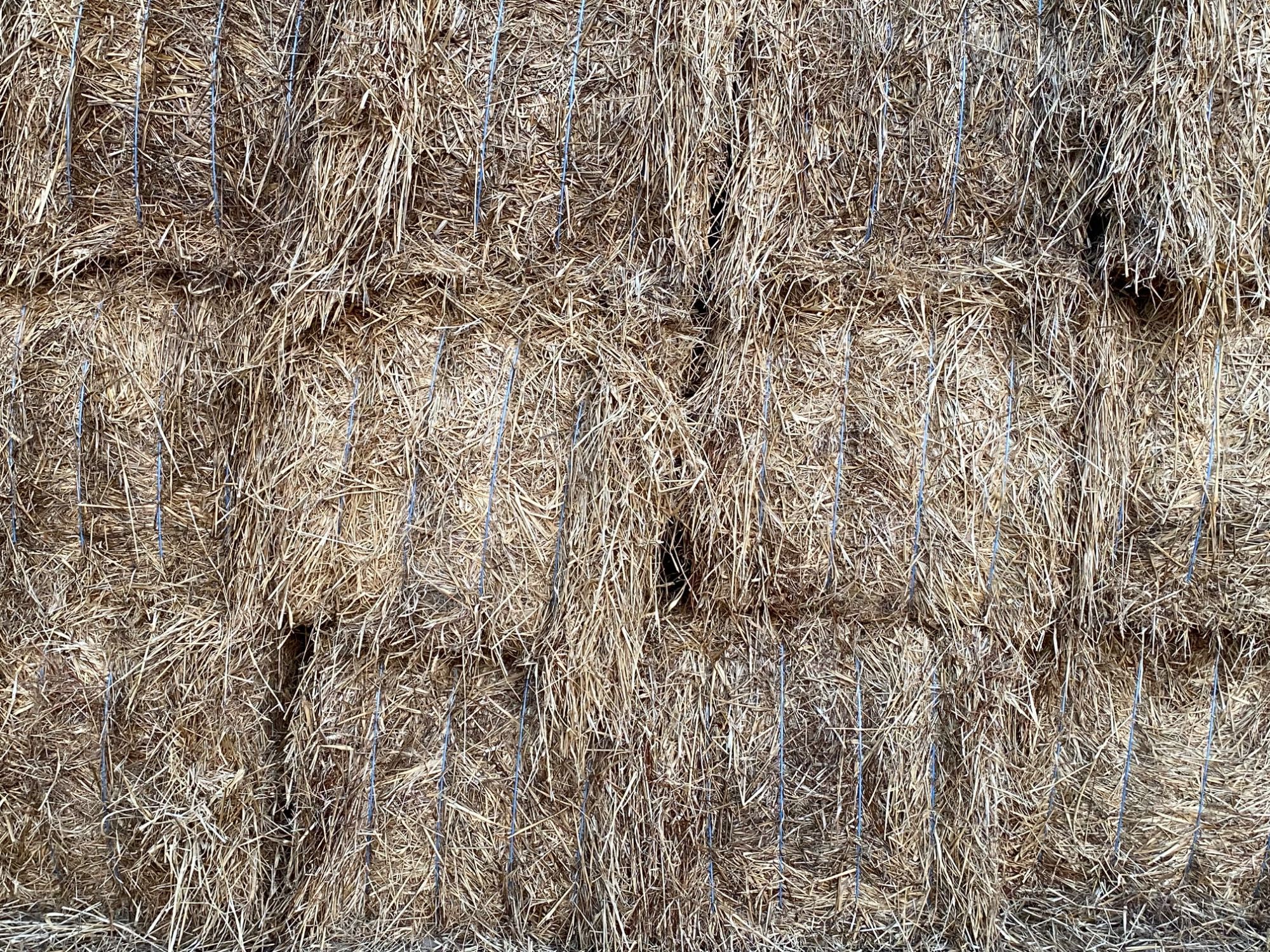 Fardos de palha de trigo