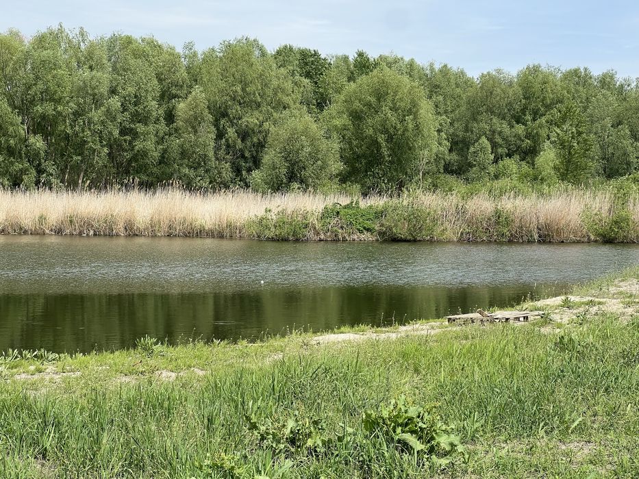 Пр зем 12с в самом селе Зазимье возле озера