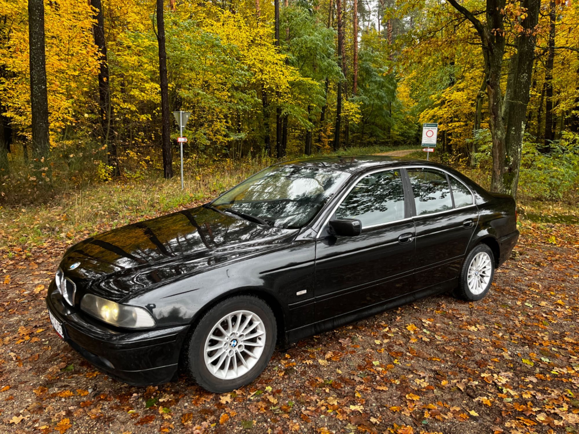 Bmw e39 525d 2001 polift