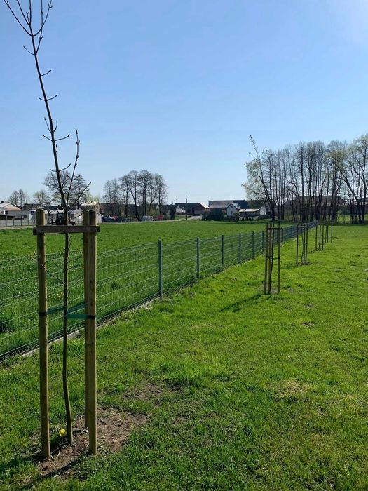 Wycinka/przycinanie drzew, podnośnik koszowy 22m, rębak, WIELKOPOLSKA