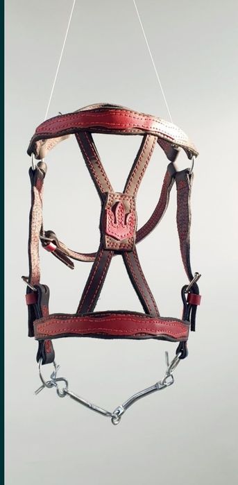 На коня Вуздечка кантарка капистра збруя упряж