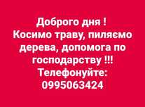 Косимо траву, пиляємо дерева, допомога по господарству! НЕ ДОРОГО !!!