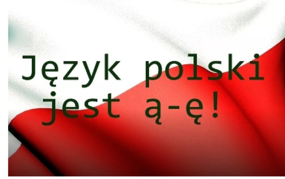 Język polski - korepetycje - Egzamin poprawkowy, poprawa matury