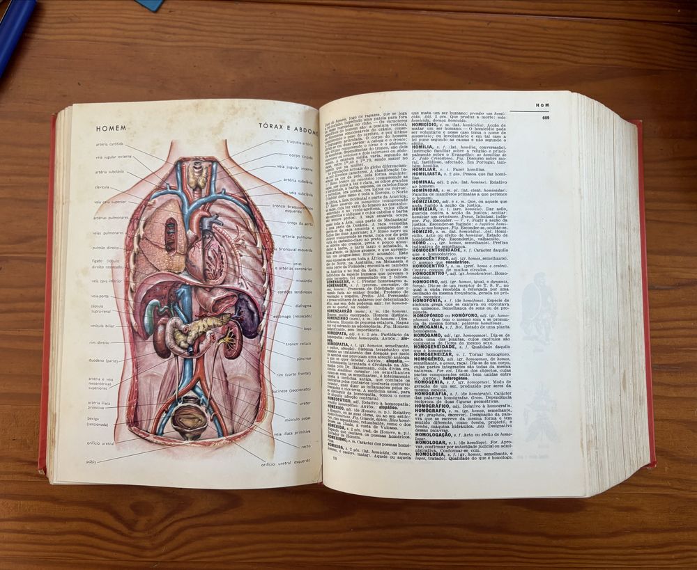 Dicionário Prático Ilustrado Lello